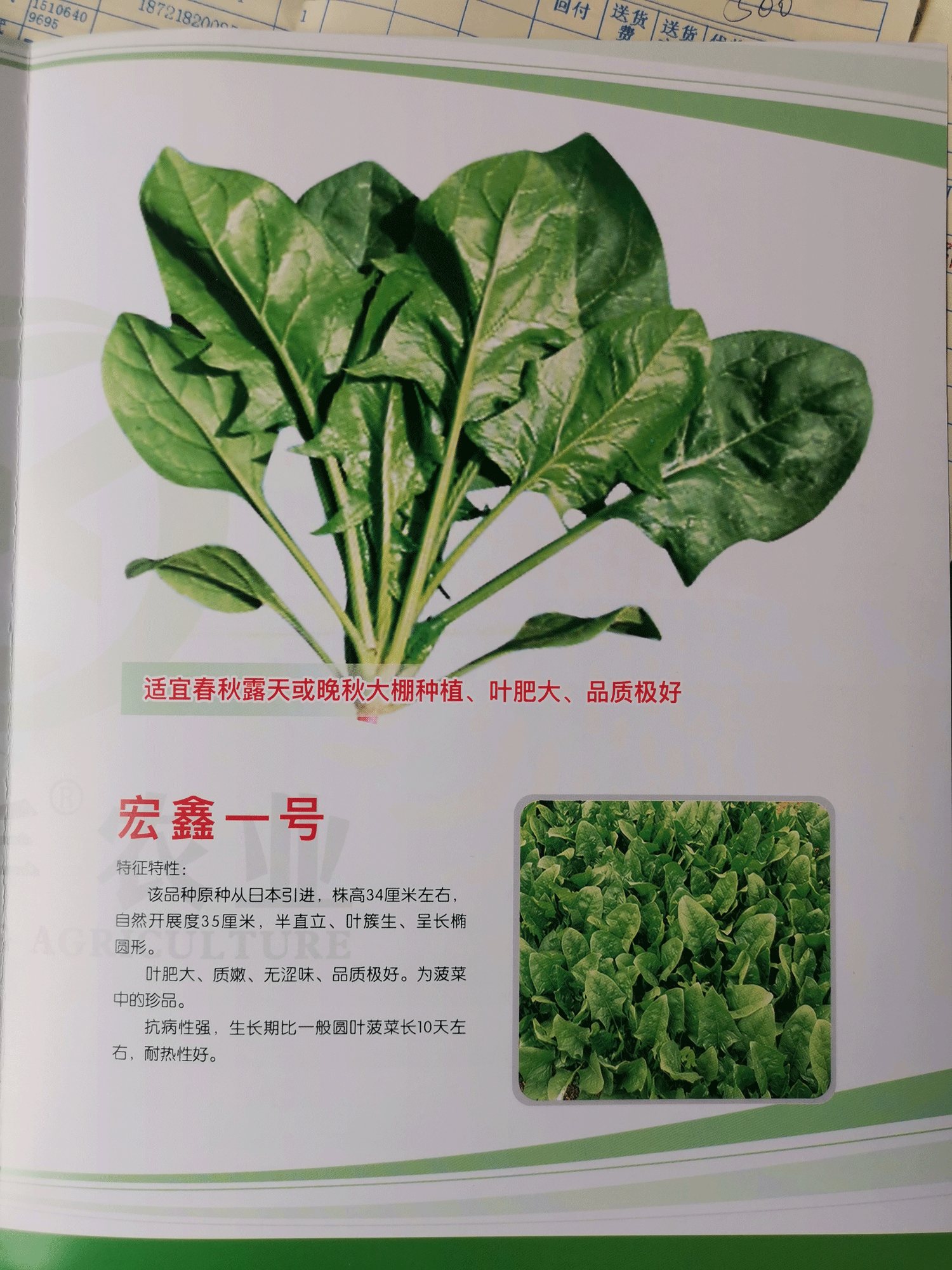 一號(hào).png